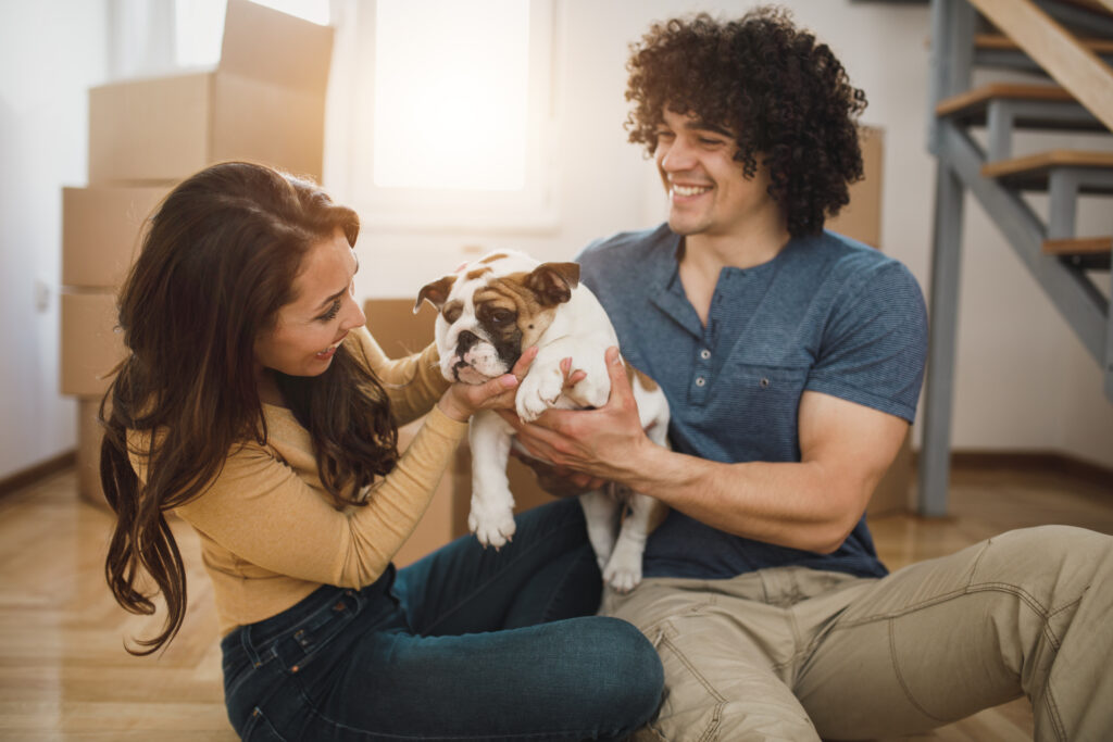 A cheerful young couple having fun with their English bulldog puppy while moving into their new home.