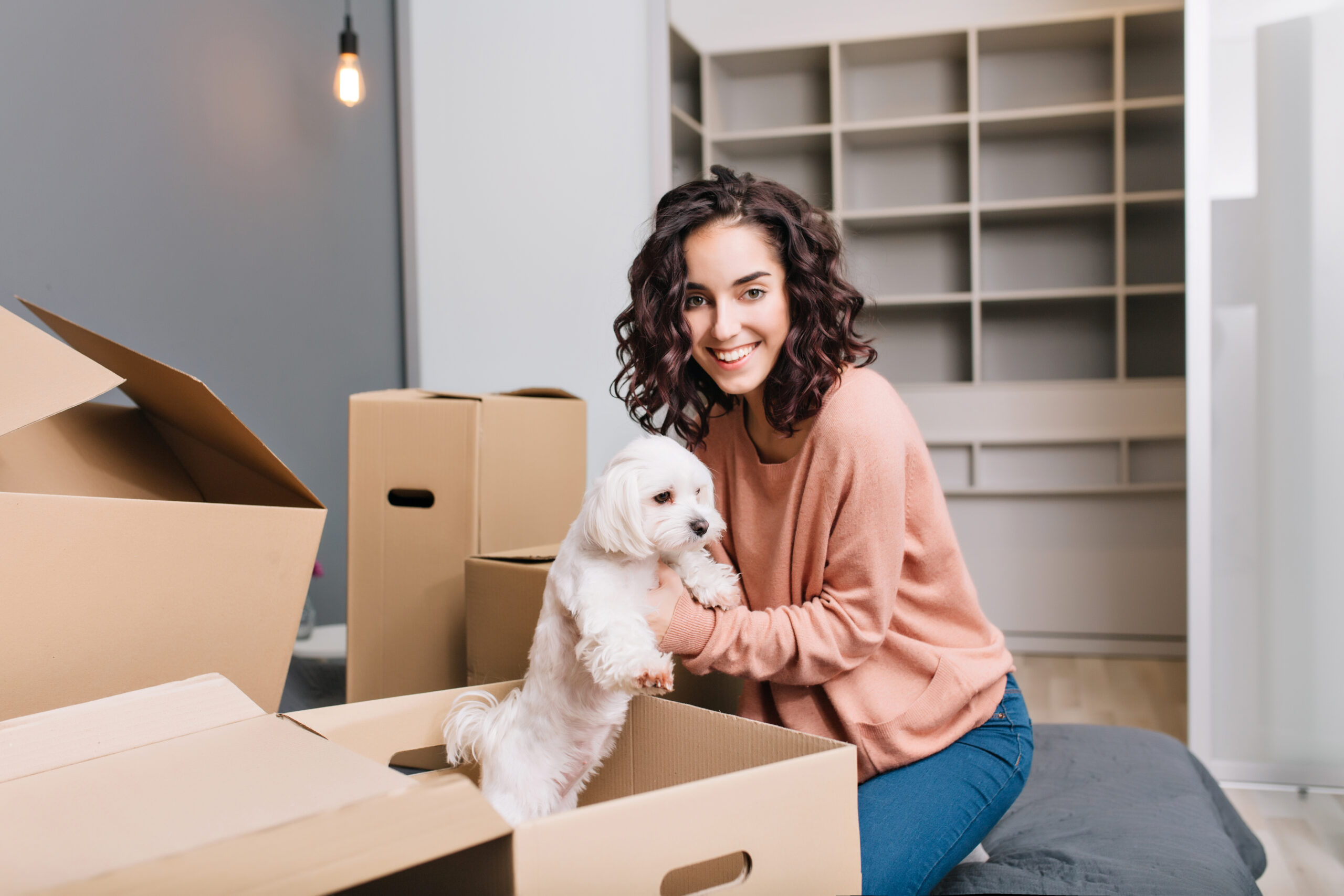 Moving with Pets: A Complete Guide to a Stress-Free Relocation